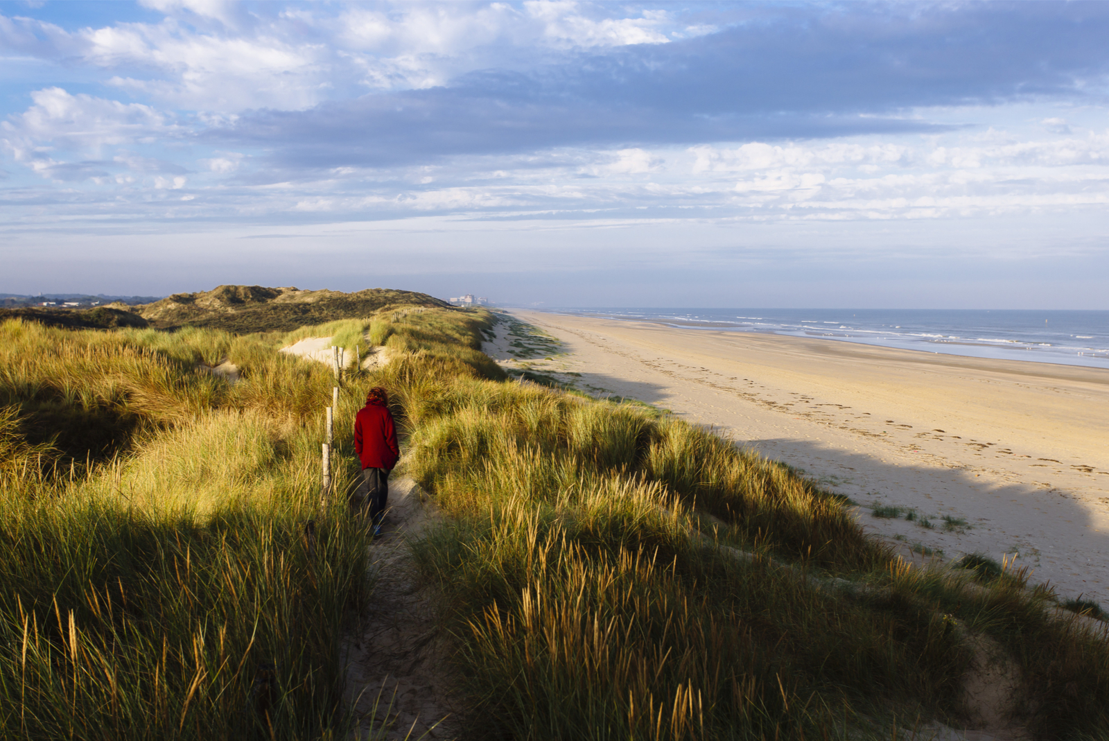 duinen strand de panne