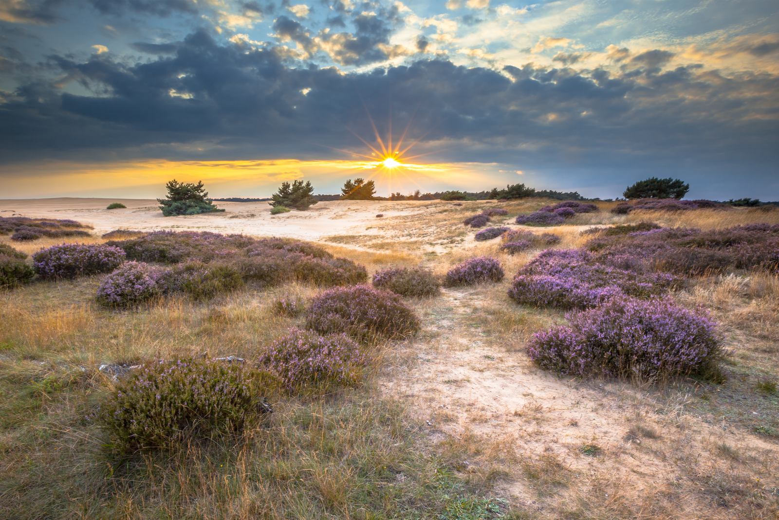 park hoge veluwe