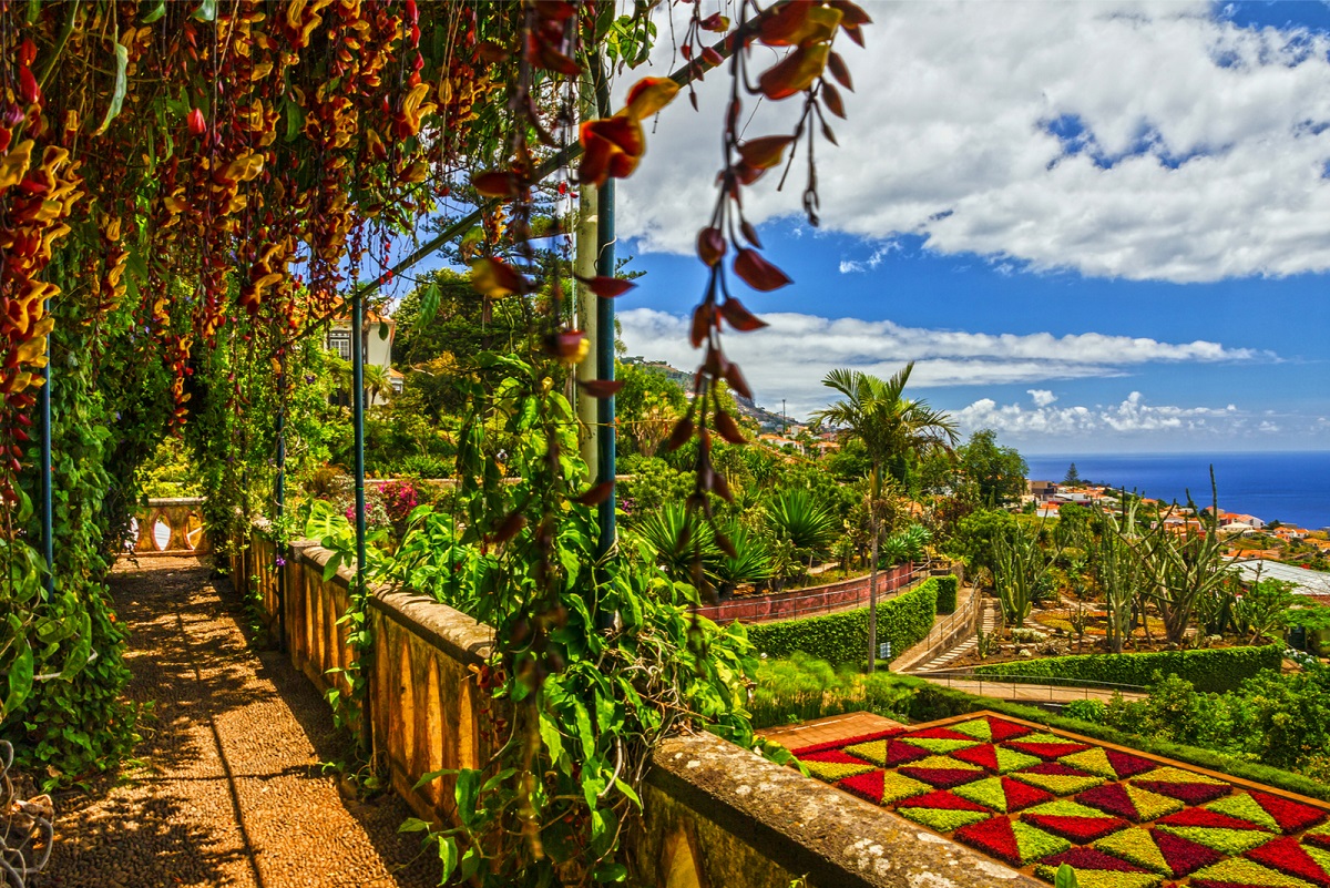 funchal jardins botaniques madère