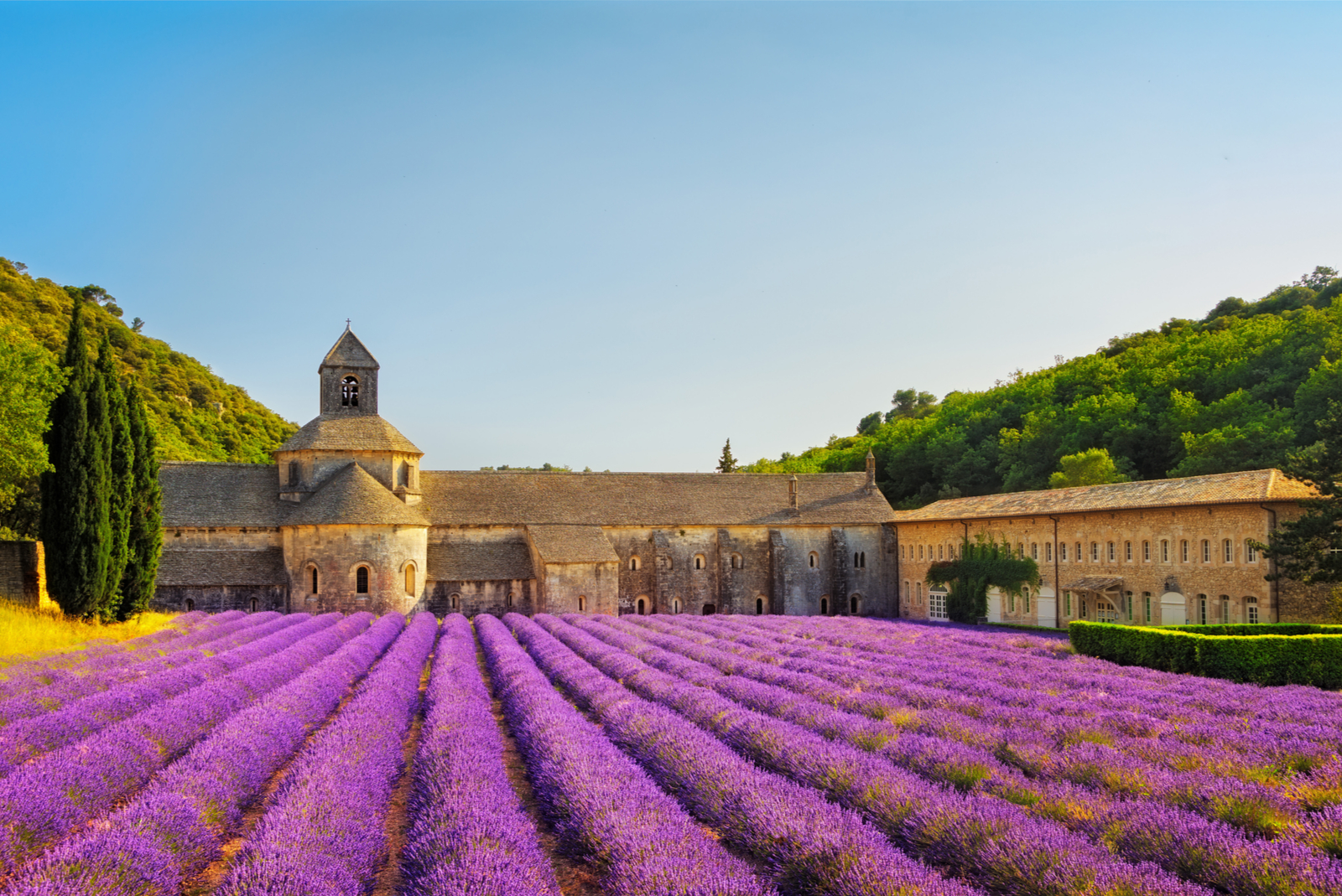abdij van senanque provence