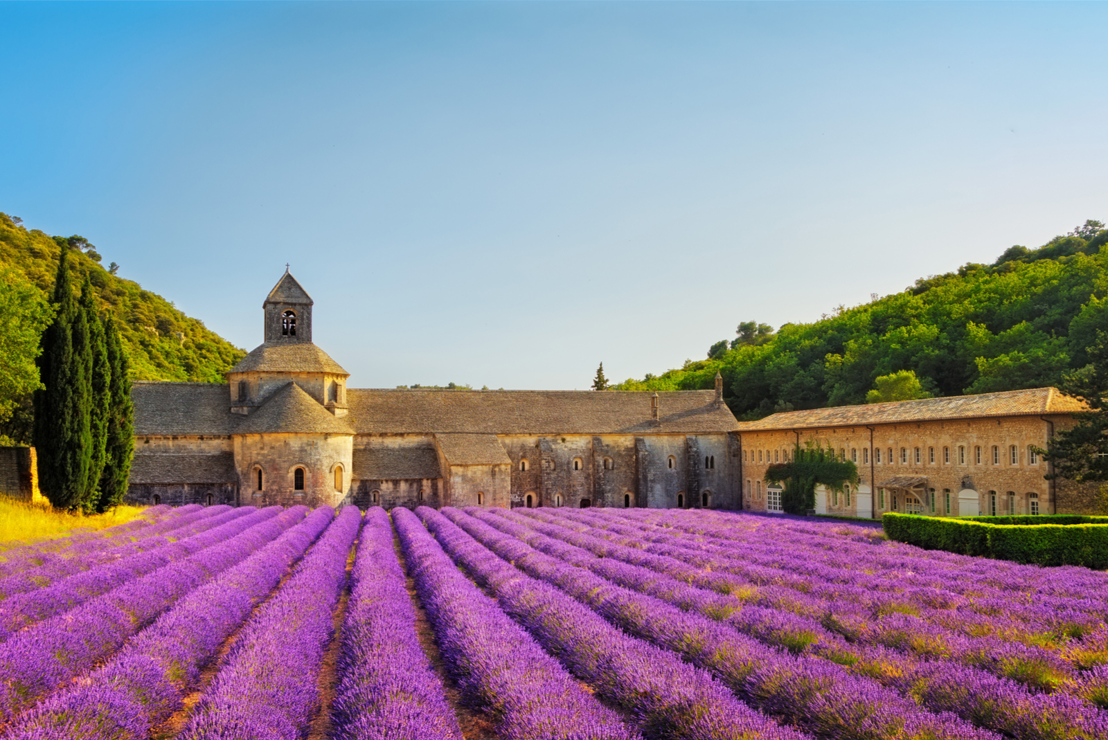 abdij van senanque provence