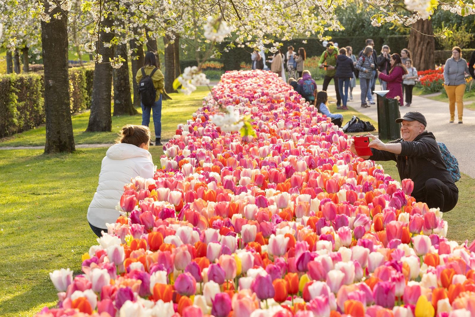 keukenhof