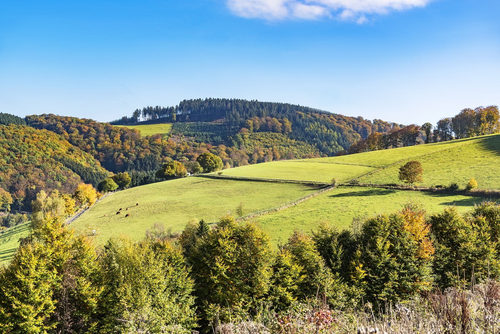 heuvels in het sauerland