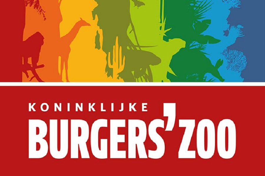 burgers'zoo arnhem