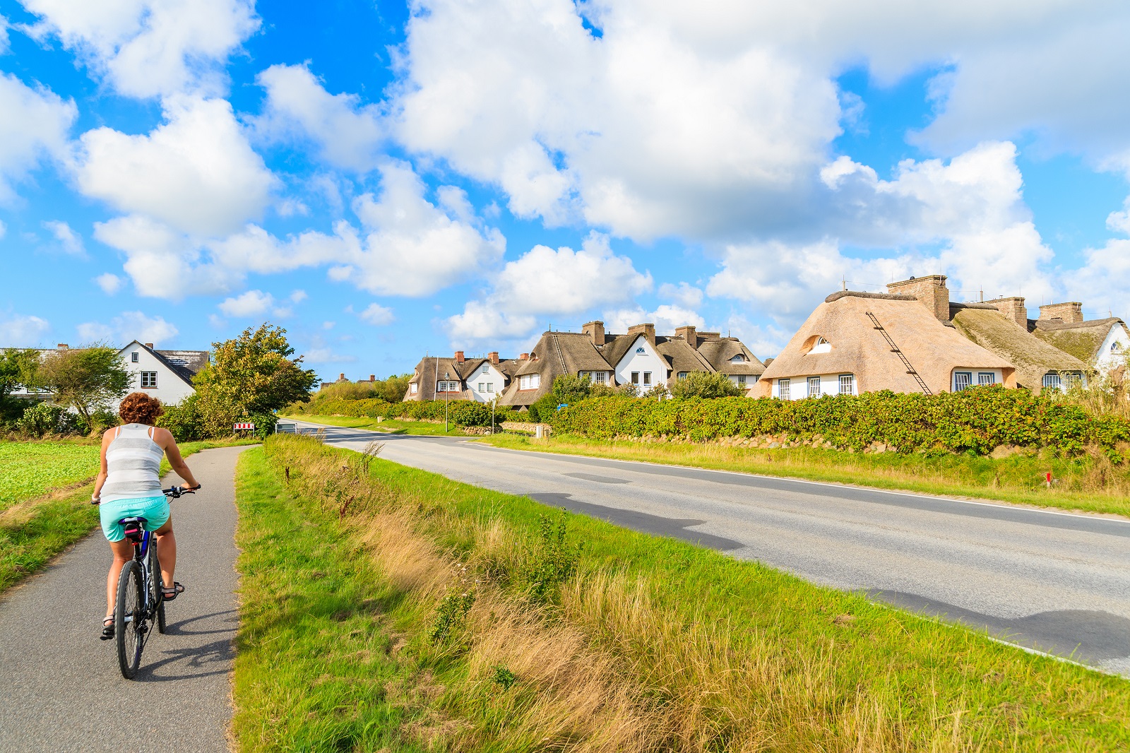 fietsen in friesland