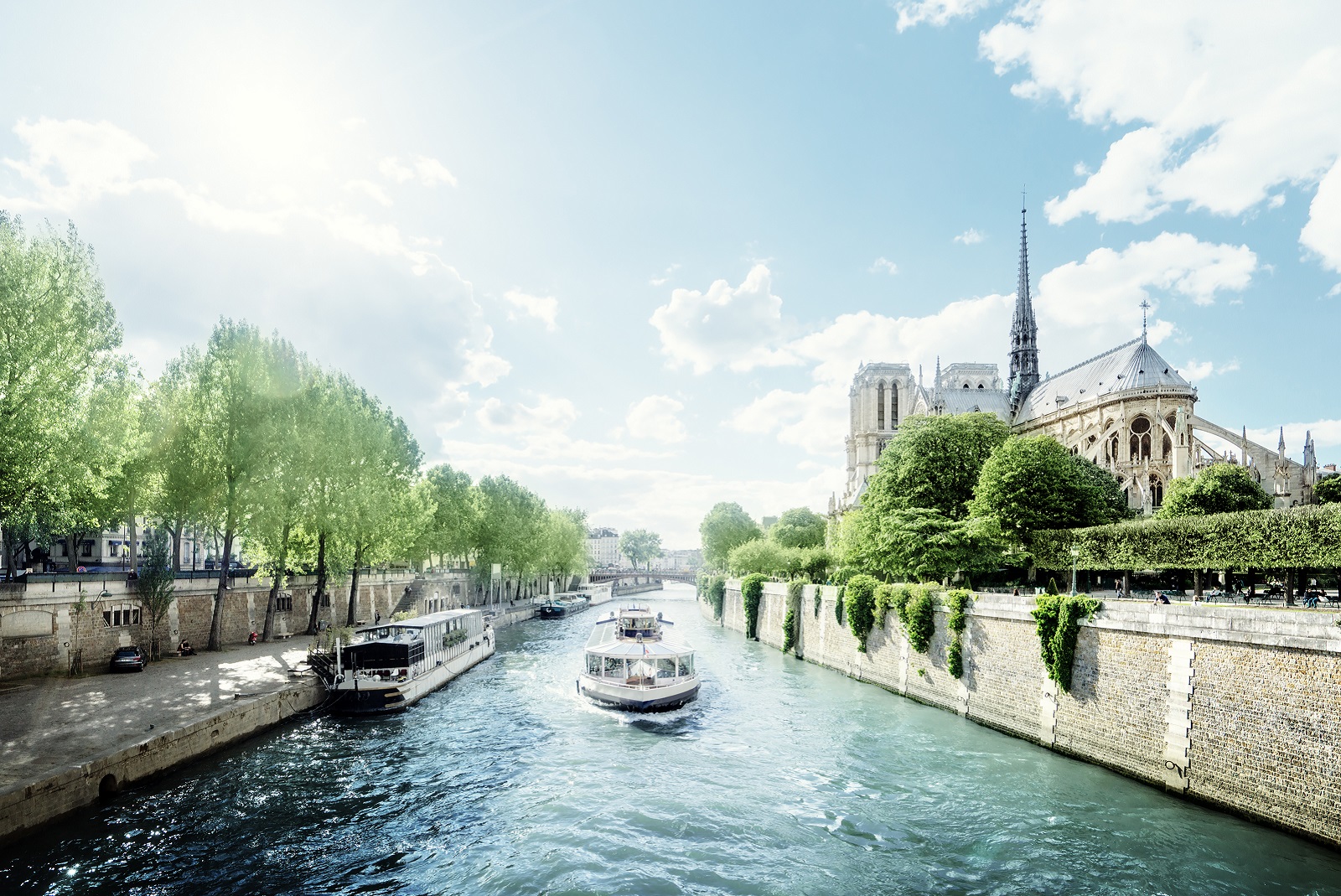 vue sur notre dame de la seine à paris