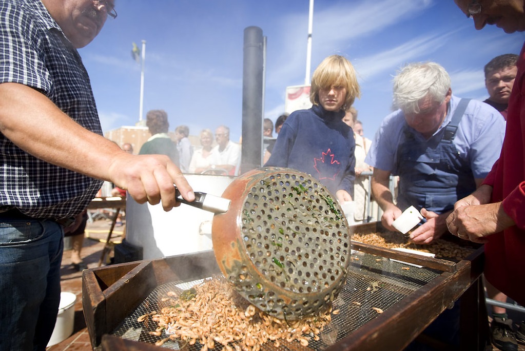 garnaalfeesten oostduinkerke