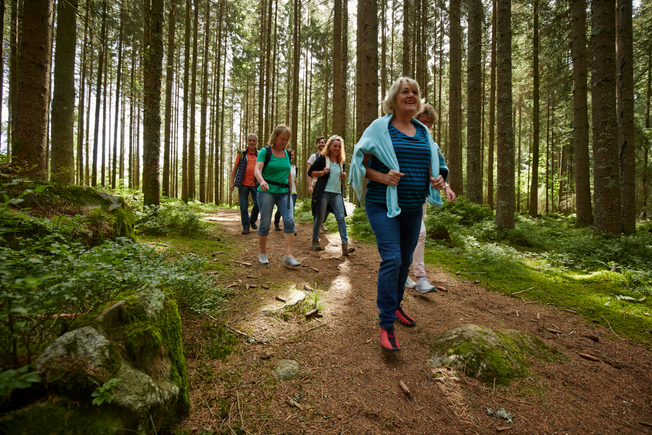 wandelen in het hochschwarzwald