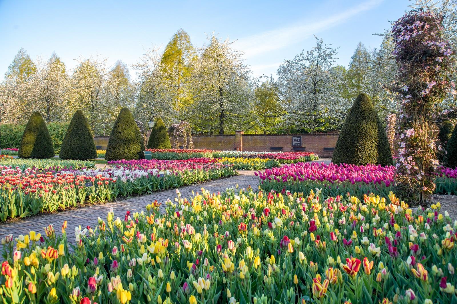 keukenhof in lisse