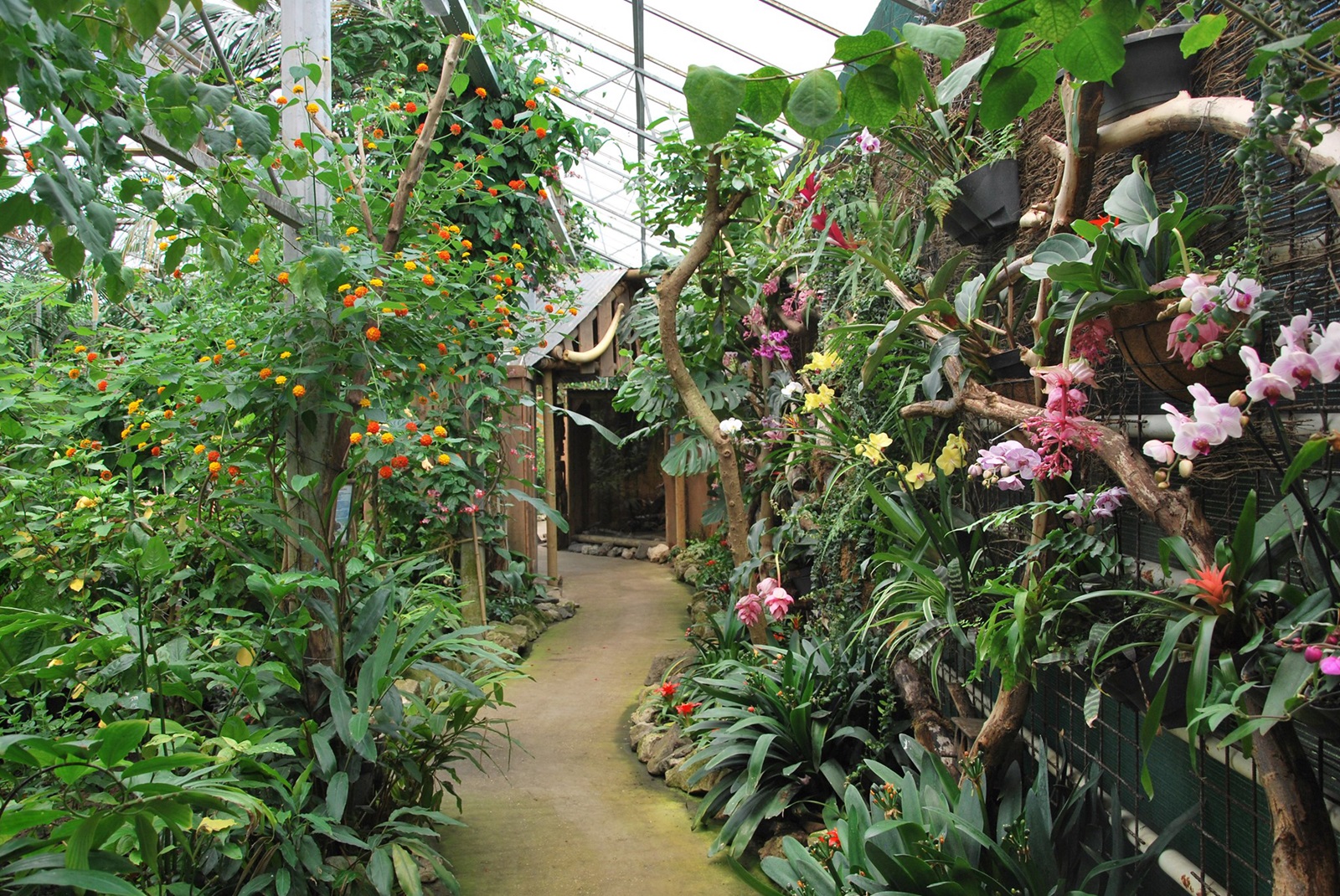 berkenhof tropical zoo