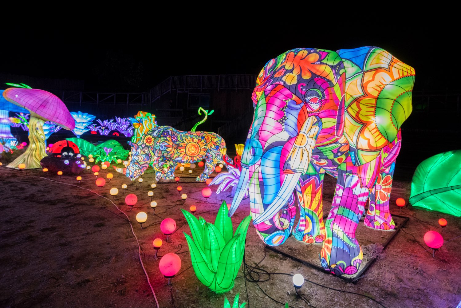 luminescences zoo amneville