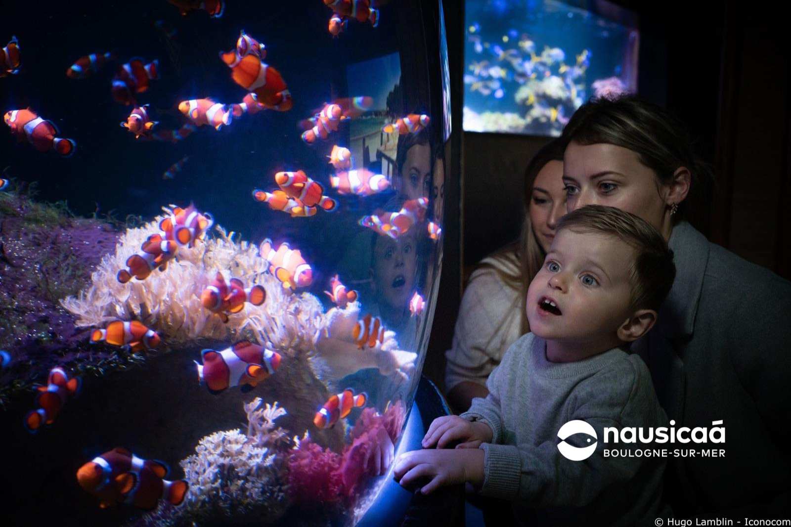 Nausicaa aquarium