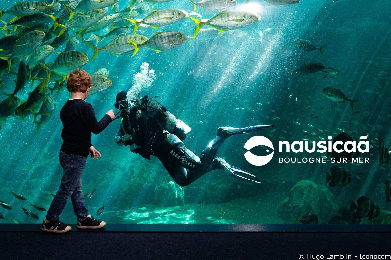 Nausicaa aquarium