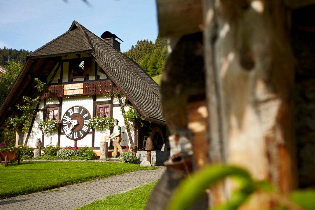 koekoeksklok in schonach zwarte woud