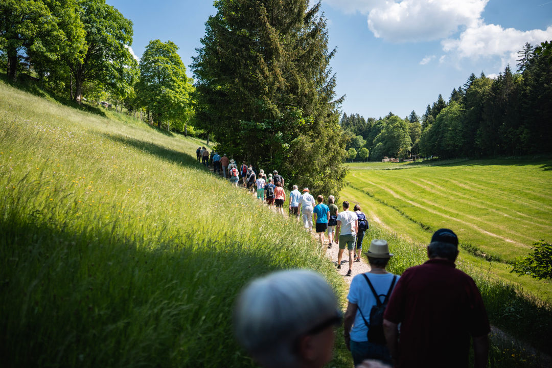 wandelen in het zwarte woud