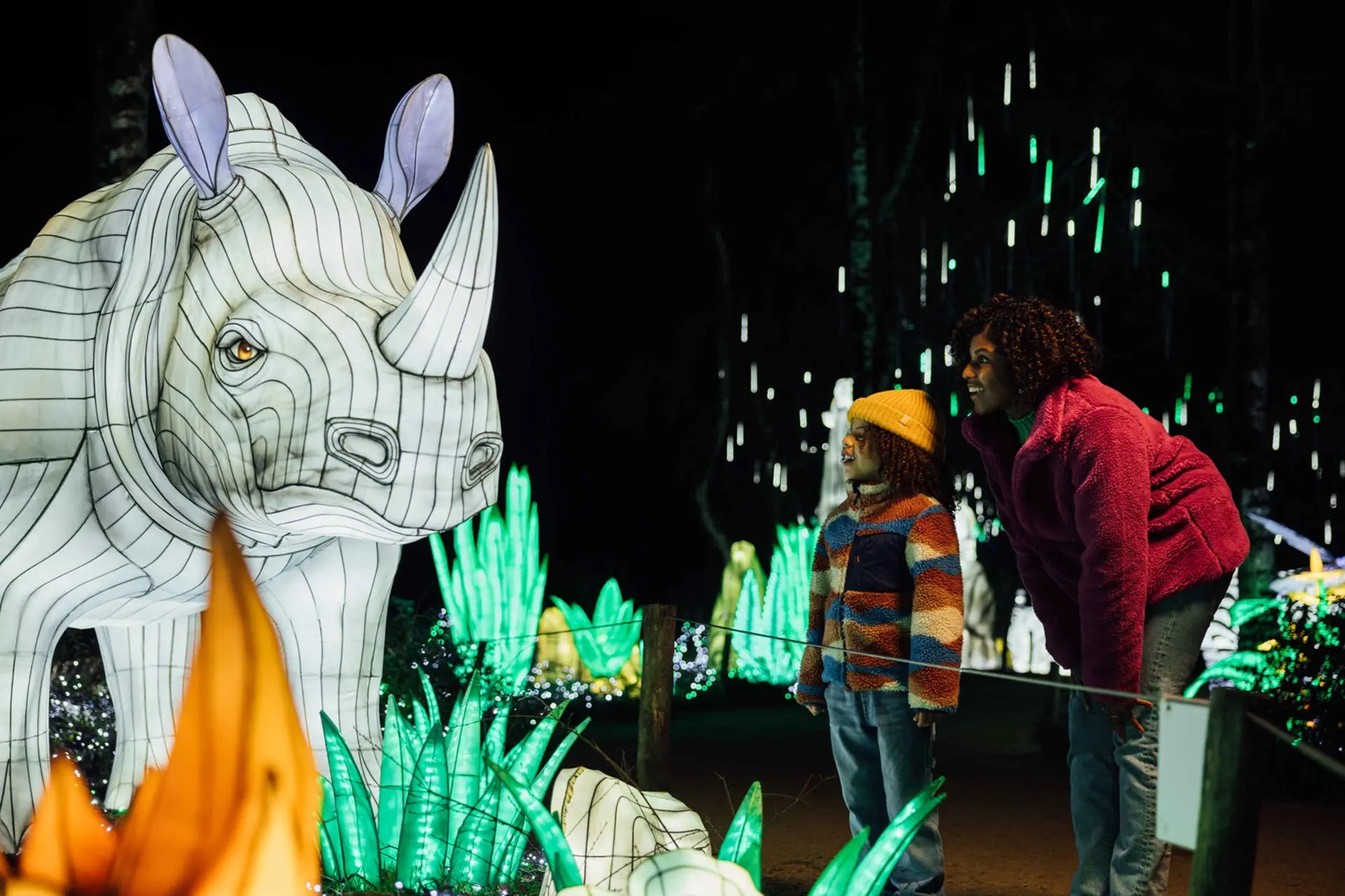 Beekse Bergen Light Safari Dagreis met bus 2024 Busfan