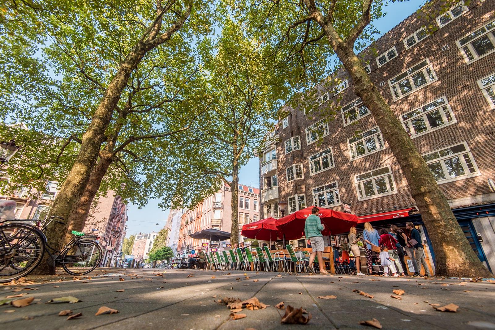 van der helstplein amsterdam