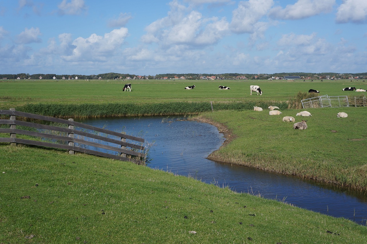 polder terschellingen waddeneiland