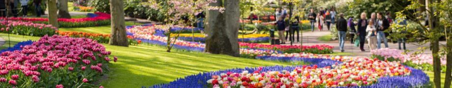 keukenhof bloemen pad
