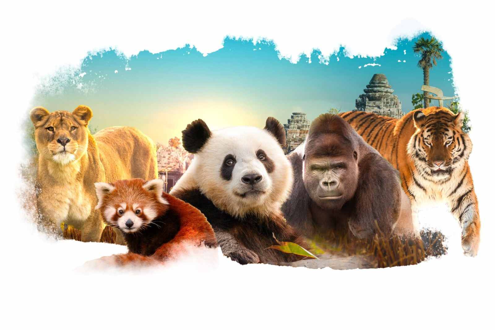 Pairi Daiza visual