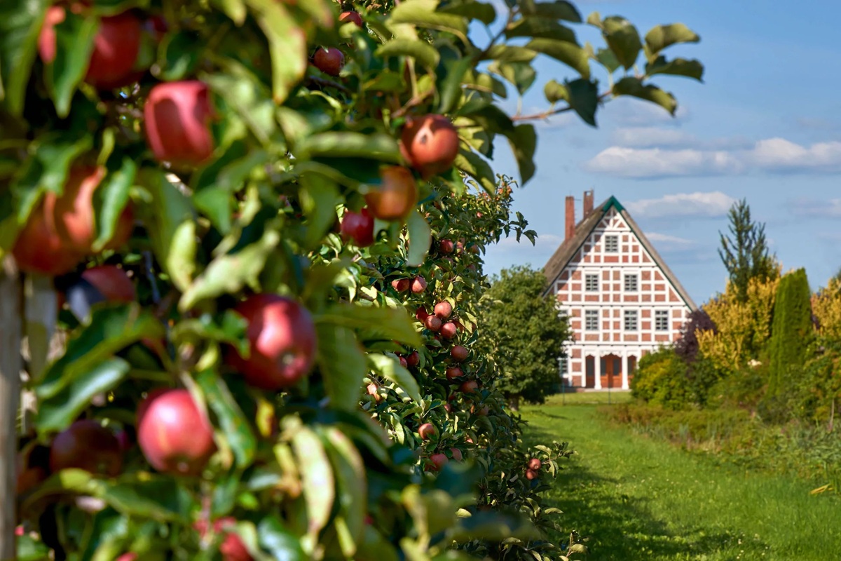 Urlaubsregion Altes Land am Elbstrom