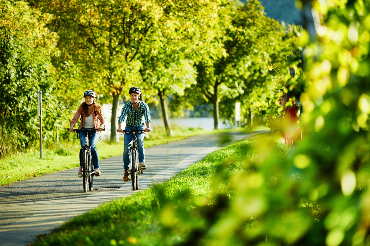 mosel radweg