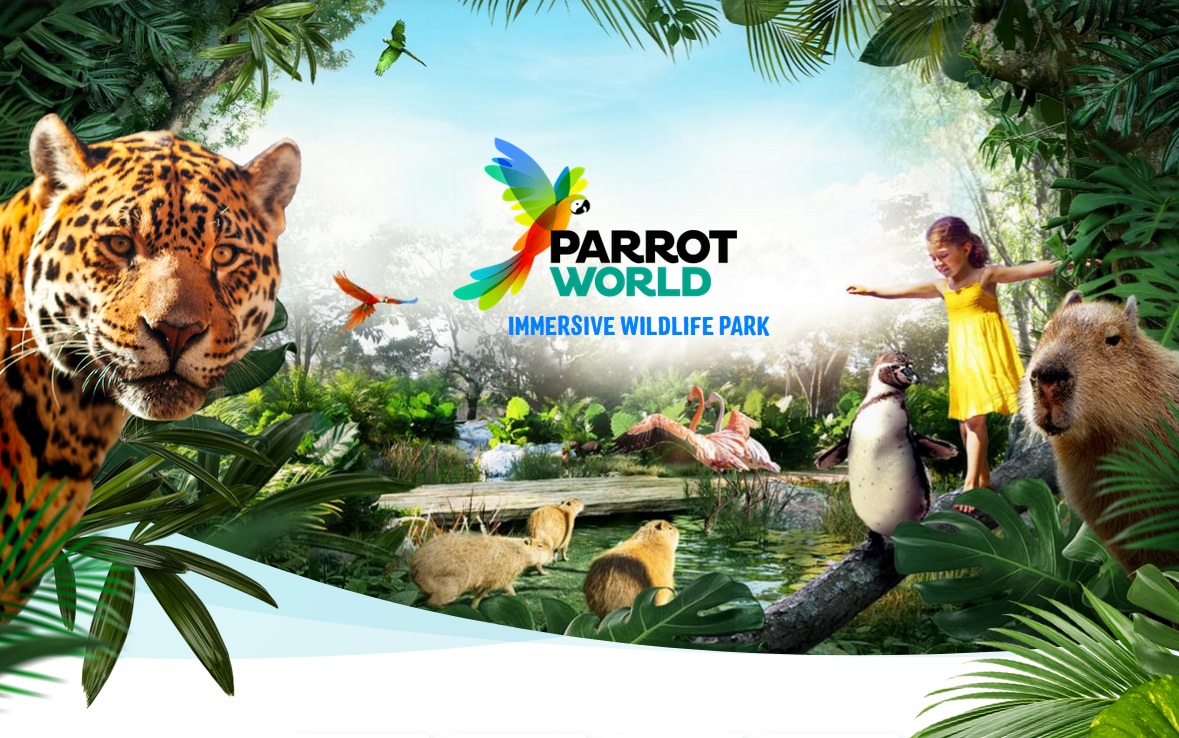 parrot world