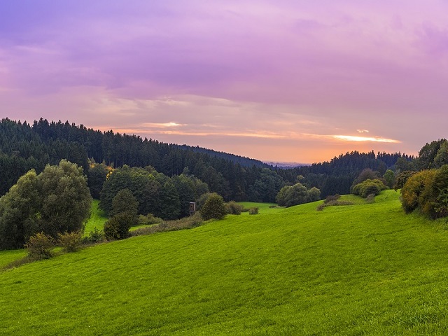 beieren woud duitsland