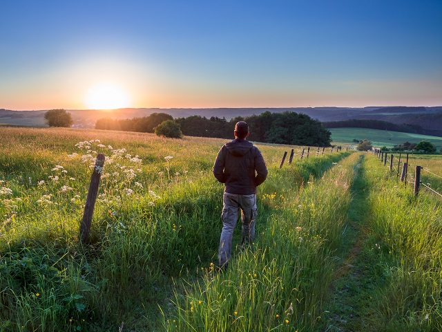 Wandelen