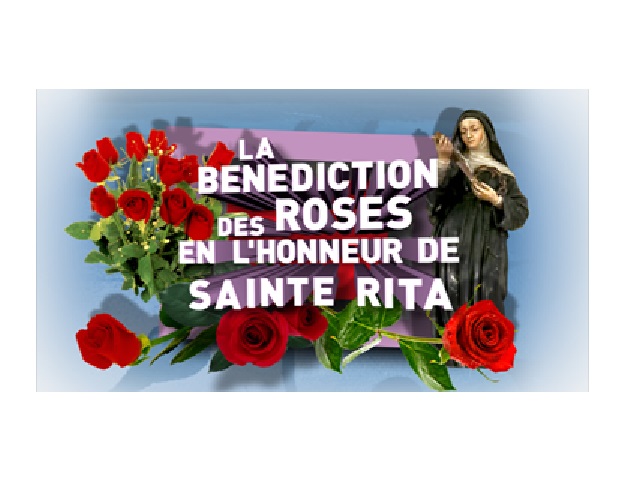 vendeville sainte rita roses