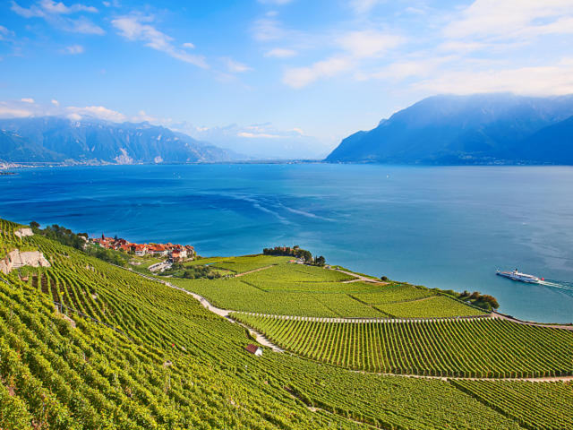 lavaux lac leman