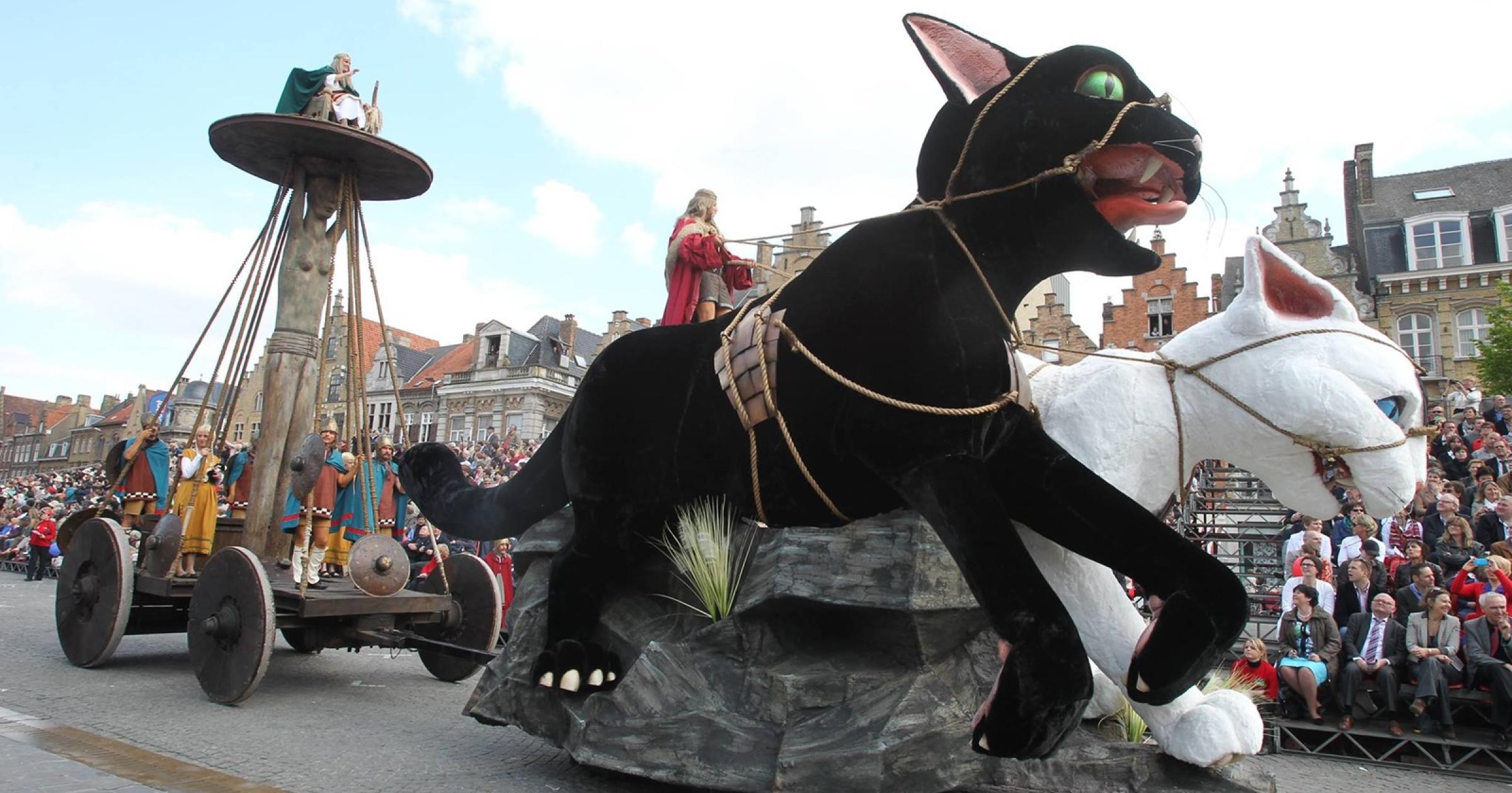 Kattenstoet in Ieper Dagreis met bus Busfan